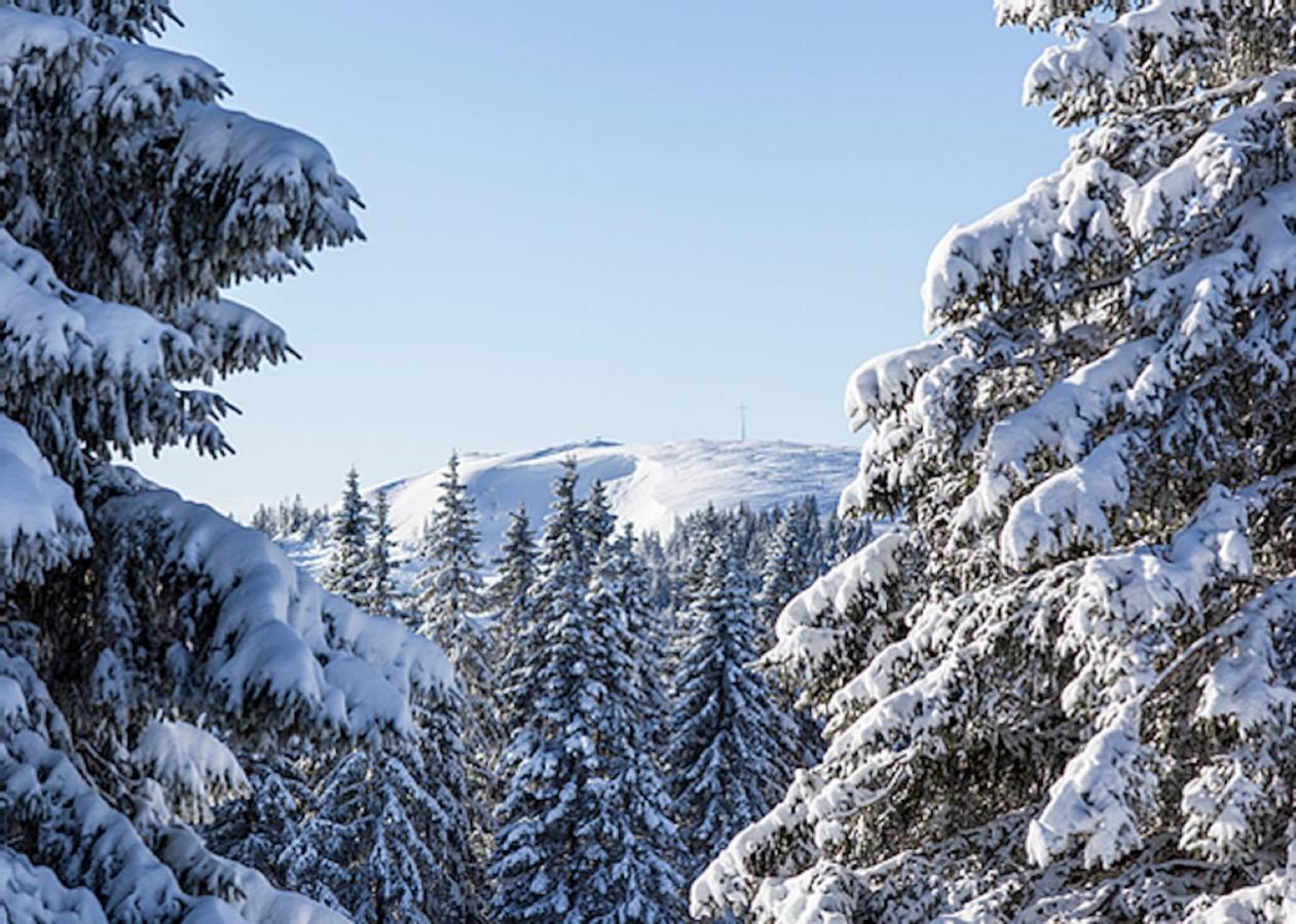 A La Chapelle Titisee エクステリア 写真